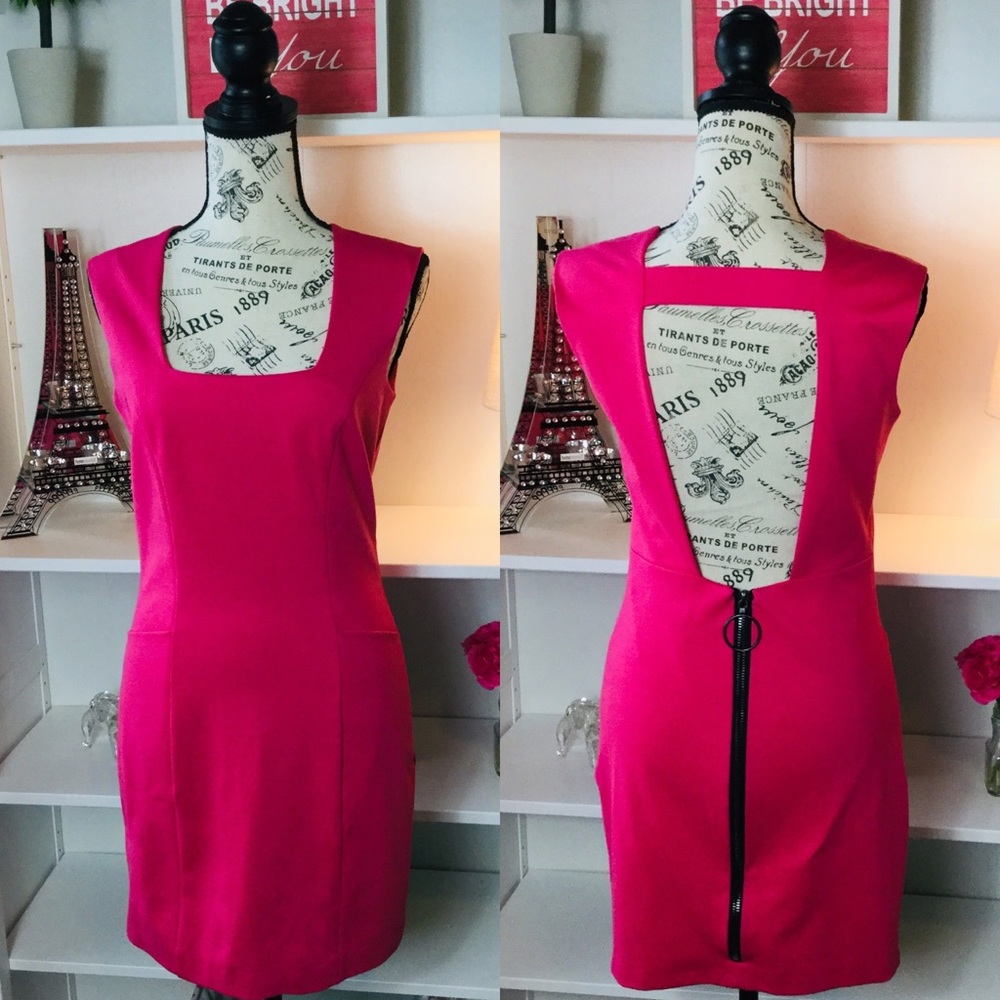 Privee Pink, Zipper Back Rayon/Nylon/Spandex Dress